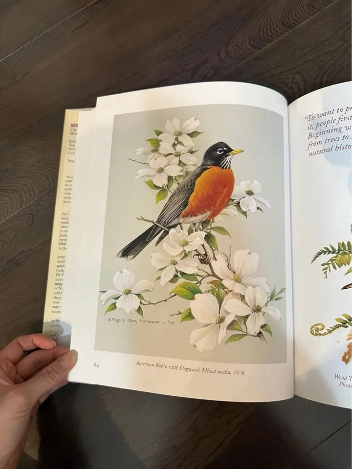 Beautiful Bird Art & Photography Book- Large image indicator(6)