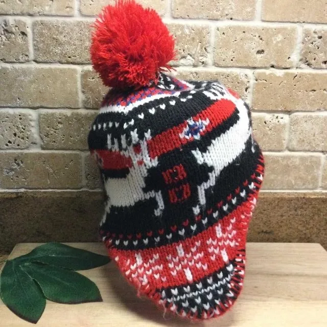 EUC TODDLER WINTER HAT image indicator(2)