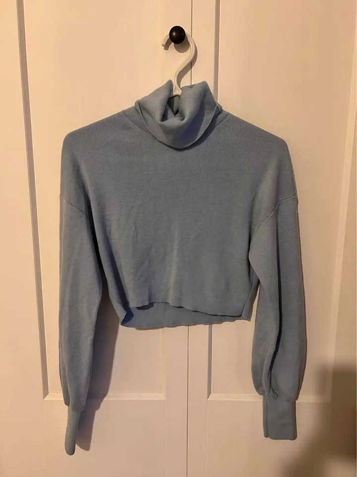 Wilfred Rebecca Turtleneck (Aritzia)