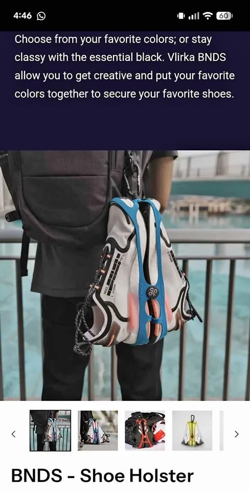 The Shoe Holster NEW