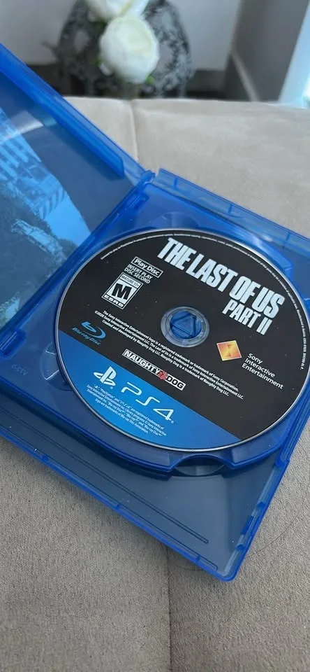 The Last Of Us part II PS4 image indicator(2)