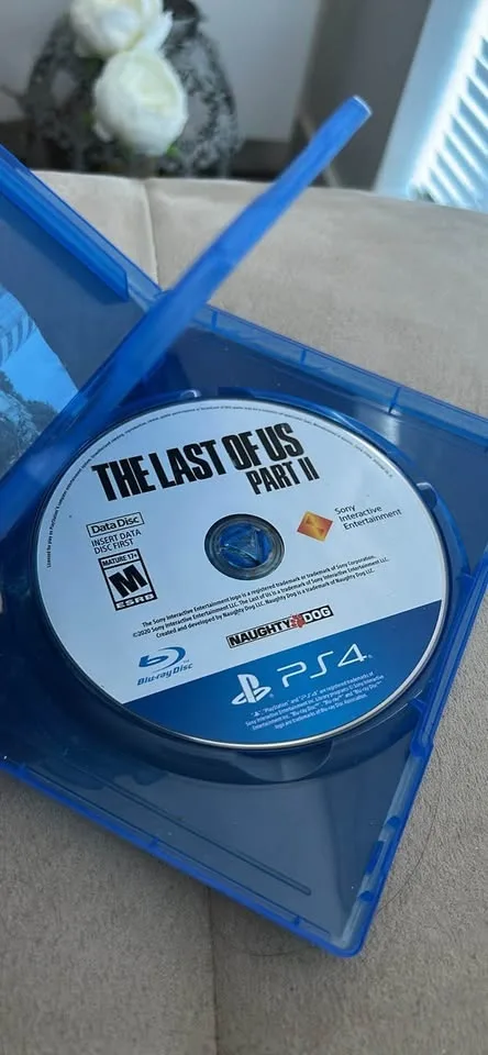 The Last Of Us part II PS4 image indicator(3)