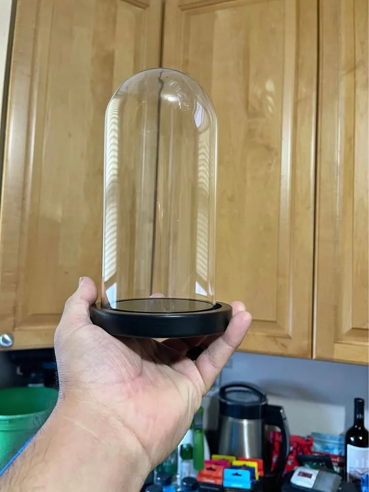 Decorative Glass Dome Cloche W/ Wooden Base