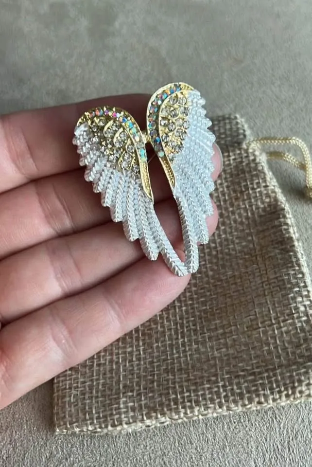 Angel Wings Brooch image indicator(3)
