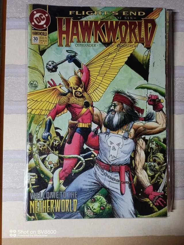 Hawkworld #30 DC Comic