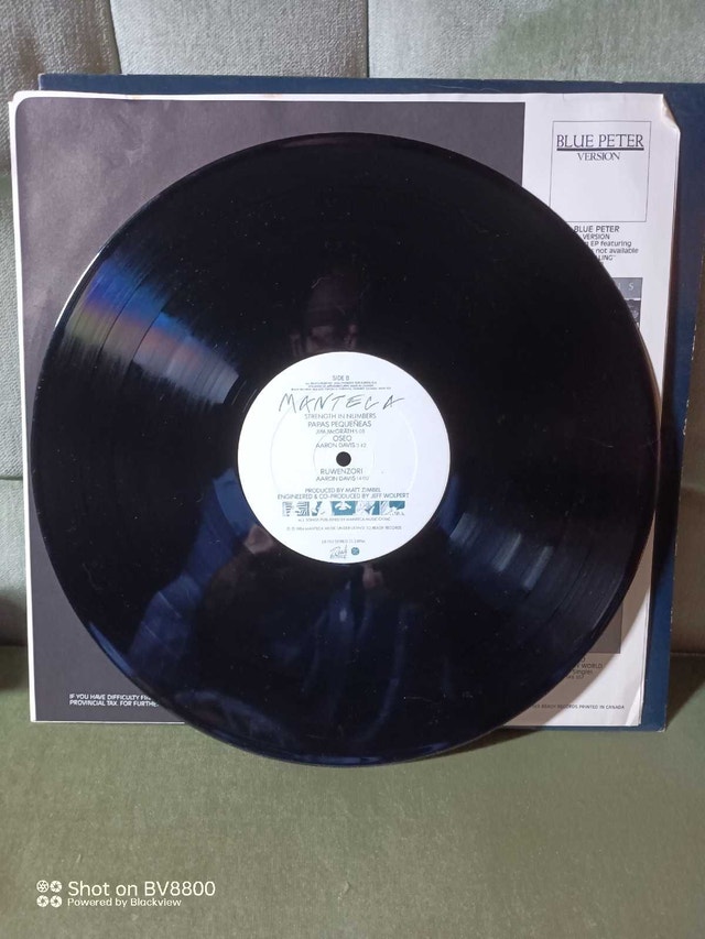 Manteca Strength In Numbers LP - photo 2