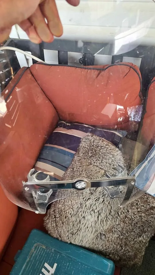 Harley Davidson motorcycle windshield easy clip on