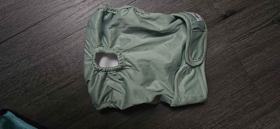 Assorted Dog Diapers and Pee Pads - photo 2