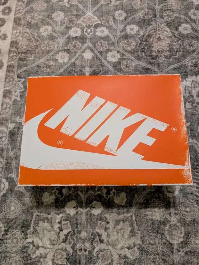 Jordan AJ1 high Chicago Lost and Found, size 9.5 image indicator(4)