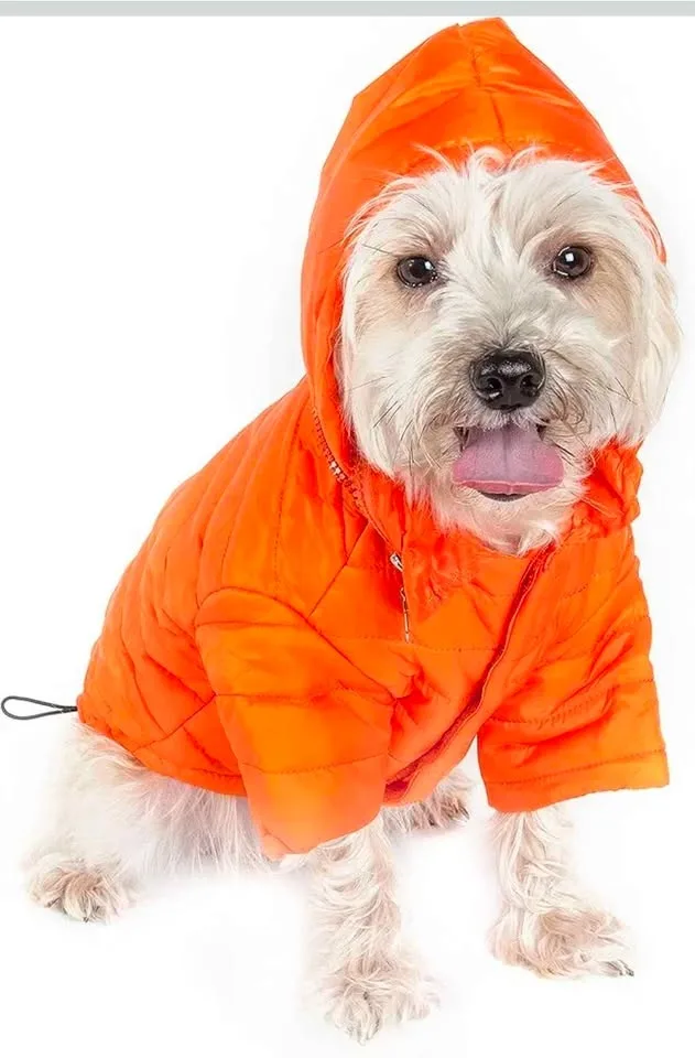 Brand New Pet Jacket - Medium image indicator(2)