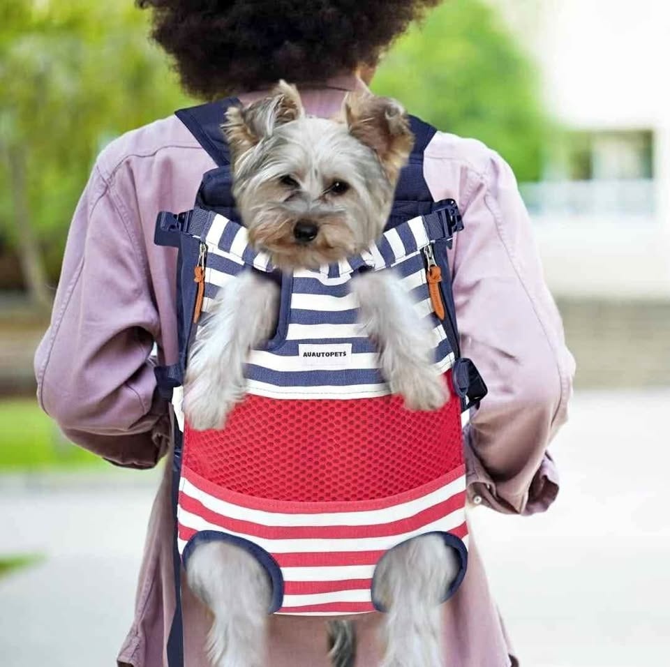 Brand New Pet Carrier