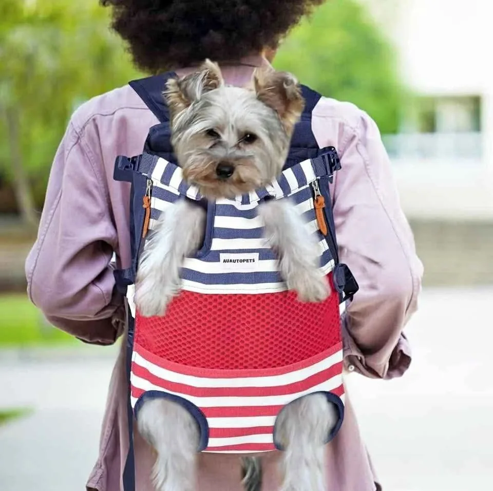 Brand New Pet Carrier