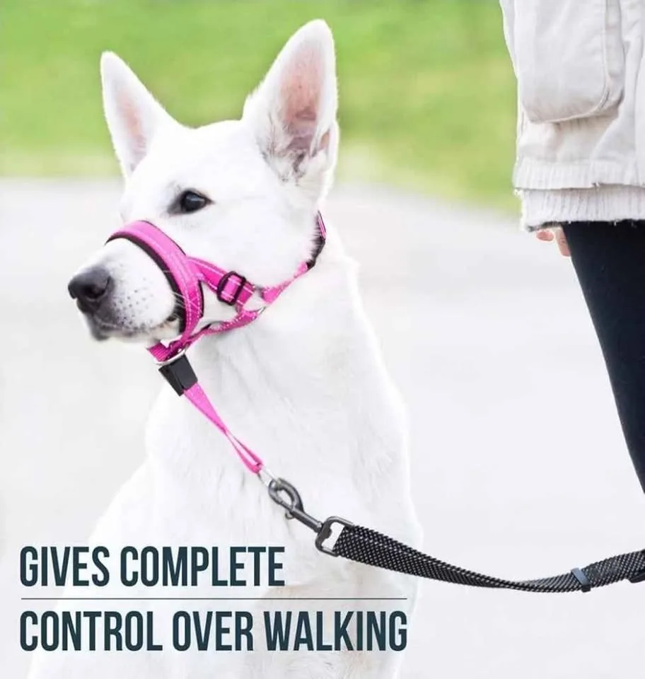 Brand New - Good Boy Dog Head Halter - Size 3 image indicator(2)