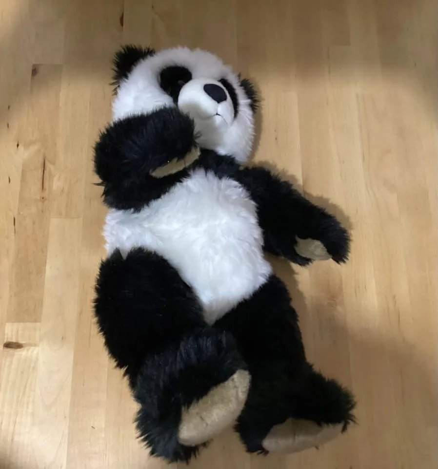 Stuffed animals all kinds image indicator(2)