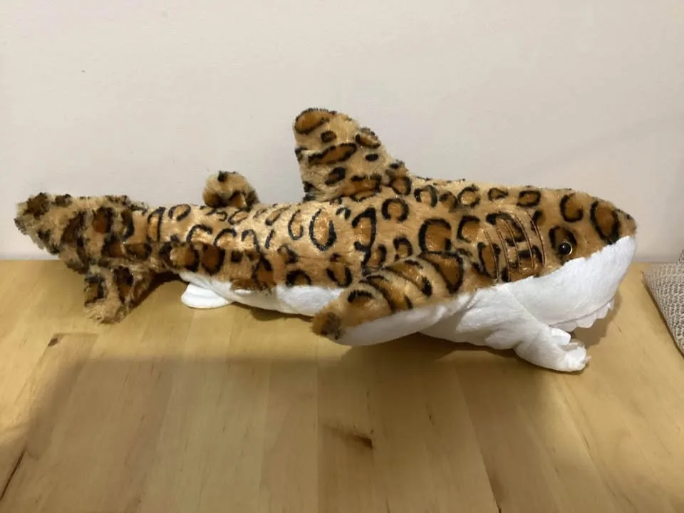 Stuffed animals all kinds image indicator(5)