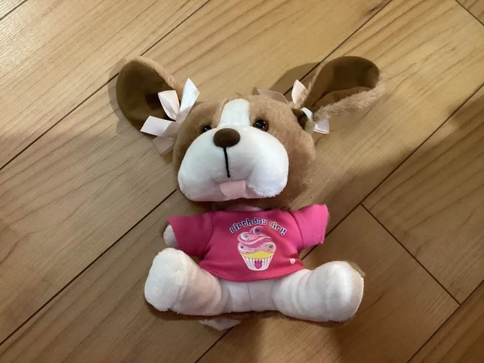 Stuffed animals image indicator(10)