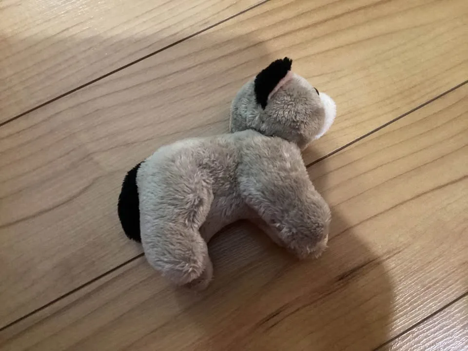 Stuffed animals image indicator(10)