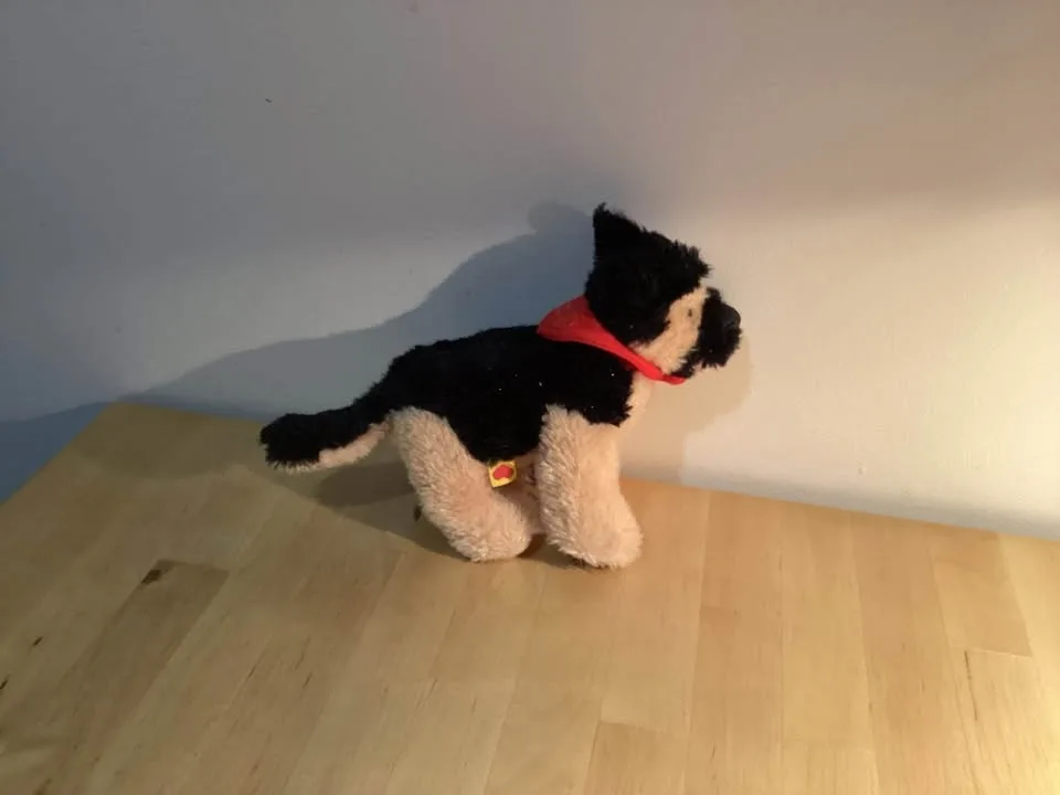 Stuffed animals image indicator(10)