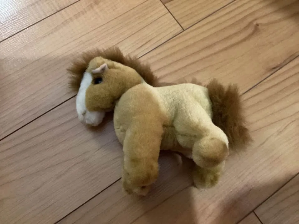 Stuffed animals image indicator(2)