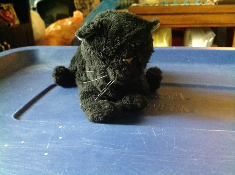 Various stuffed animals image indicator(9)