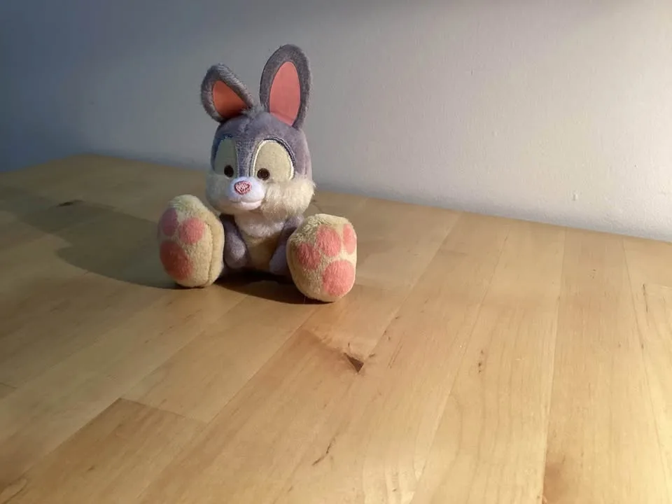 Disney stuffed animals image indicator(7)