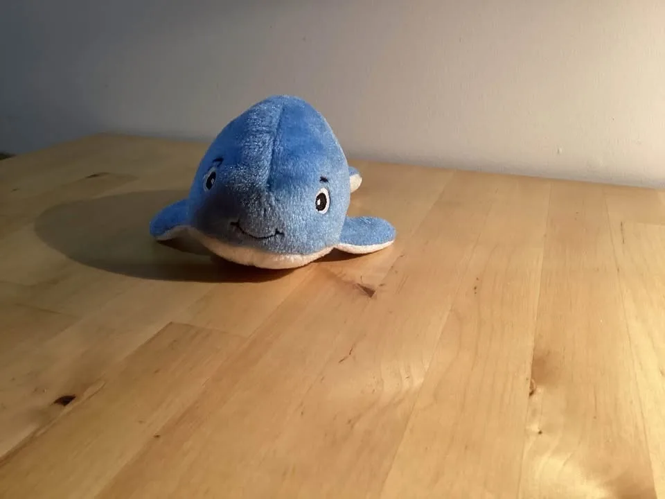 Disney stuffed animals image indicator(8)