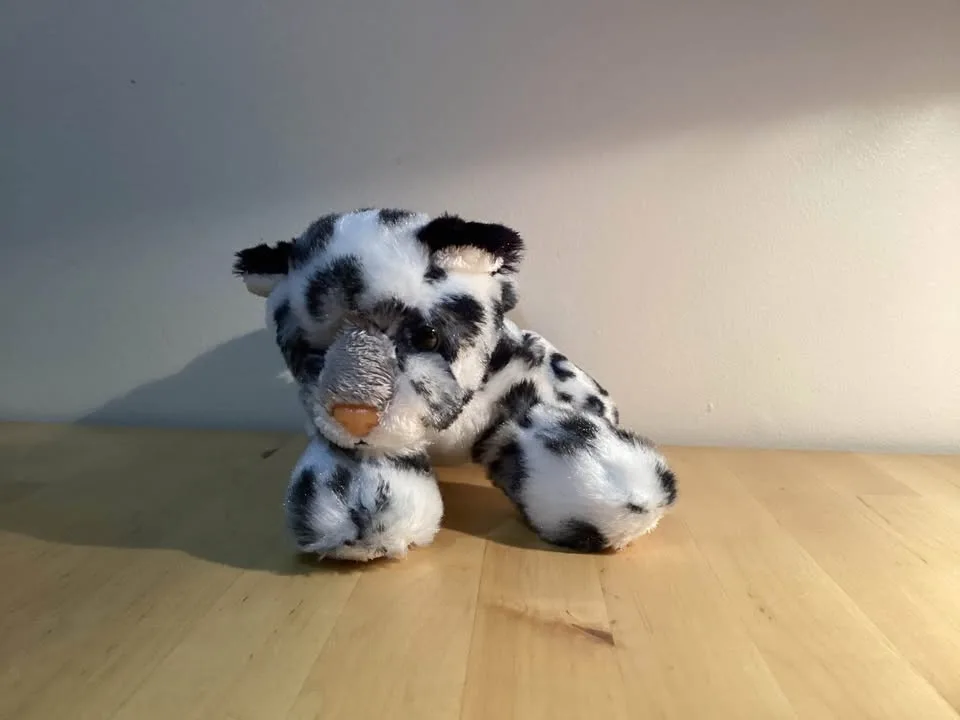 Stuffed Animals. image indicator(6)