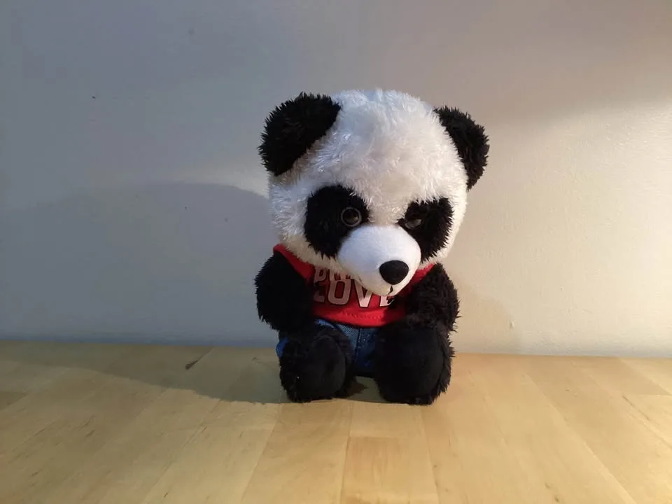 Stuffed Animals. image indicator(7)