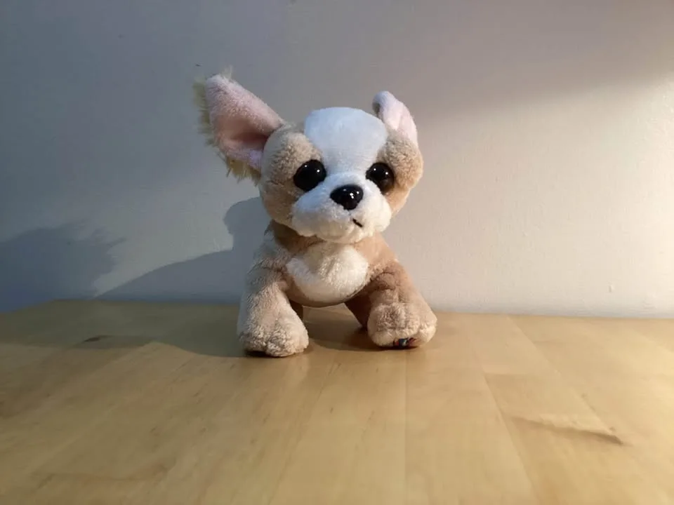 Stuffed Animals. image indicator(8)