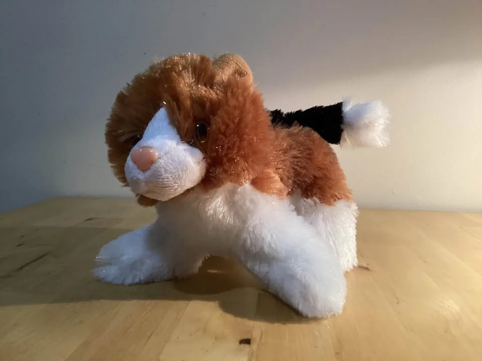 Stuffed Animals.. image indicator(4)