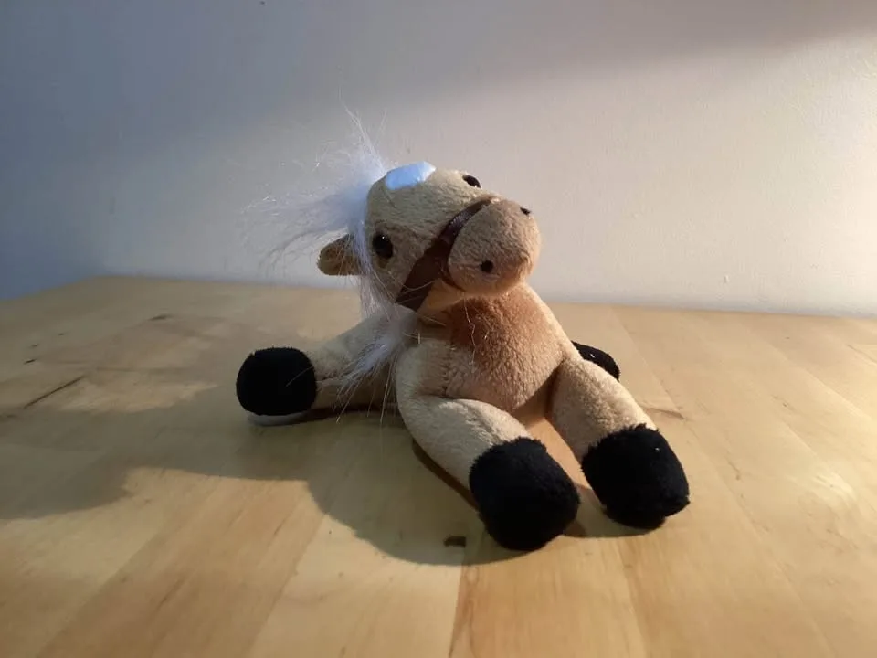 Stuffed Animals.. image indicator(5)