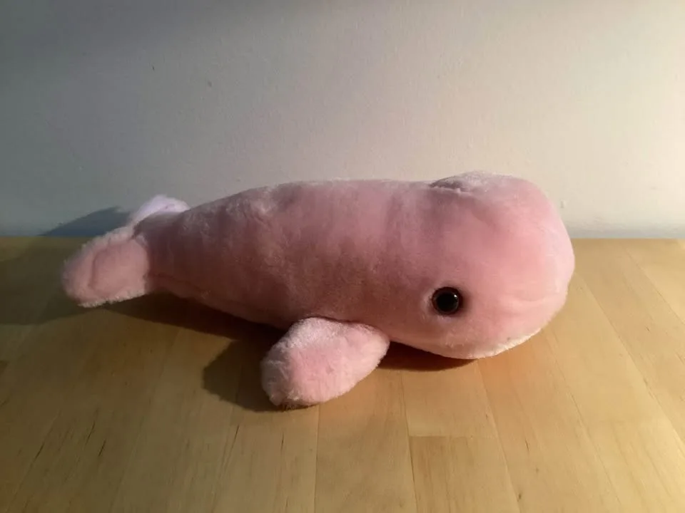 Various stuffed Animals image indicator(3)