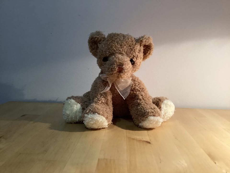 Various Stuffed Animals - photo 4