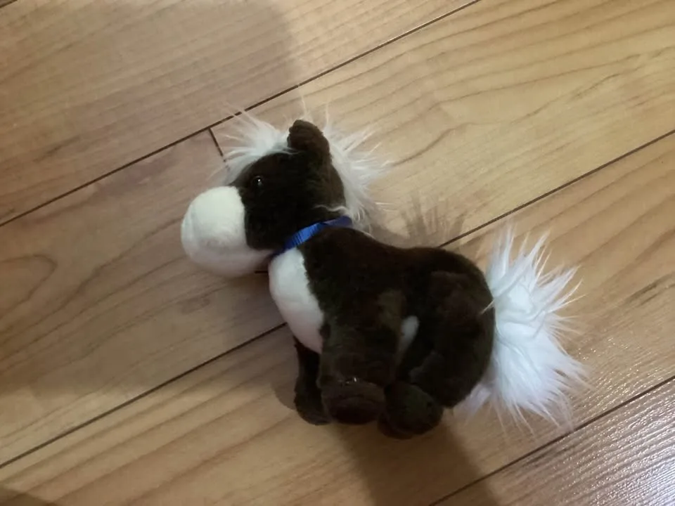 All kinds of stuffed Animals image indicator(2)