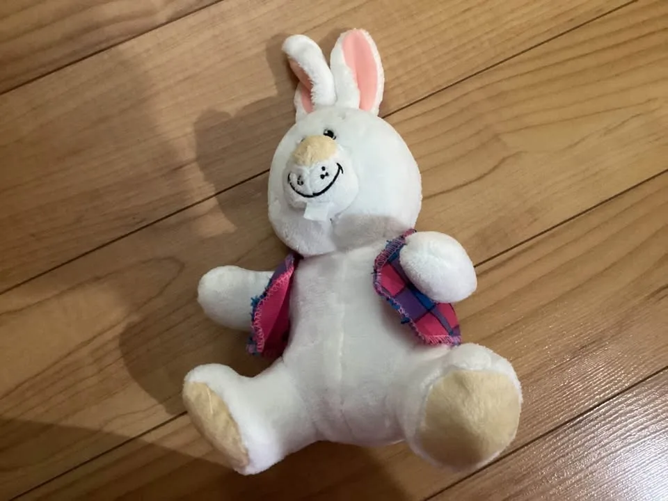 All kinds of stuffed Animals image indicator(6)