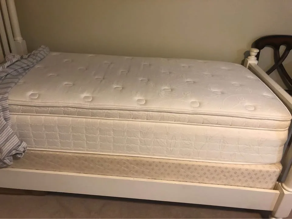 2 Twin beds with 12’ mattress and box spring image indicator(2)