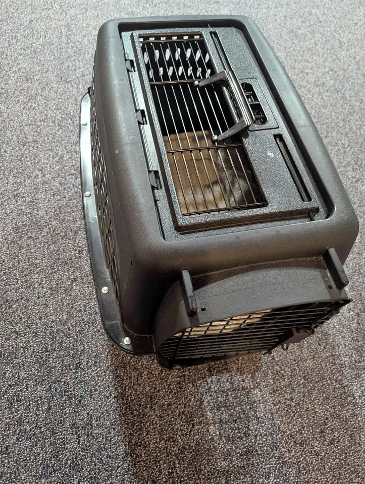 Small dog kennel with mat