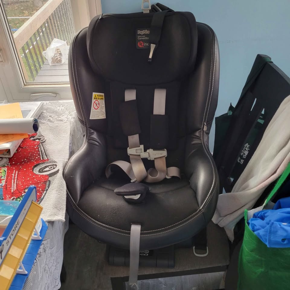 EEUC Peg Perego Primo Viaggio Kinetic Car Seat - photo 2