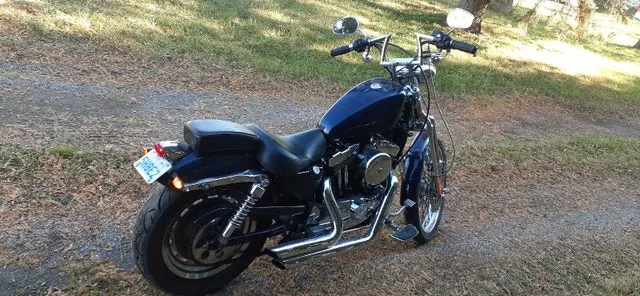 2002 Harley Springer Sportster