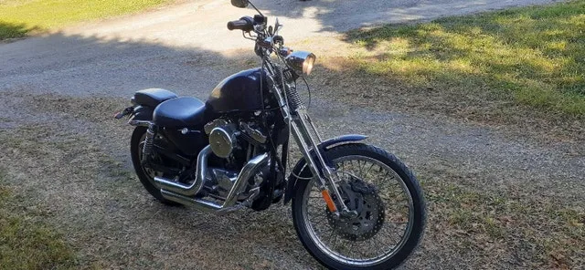 2002 Harley Springer Sportster image indicator(2)