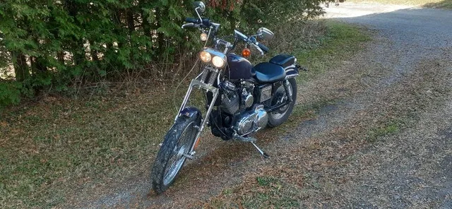 2002 Harley Springer Sportster image indicator(3)