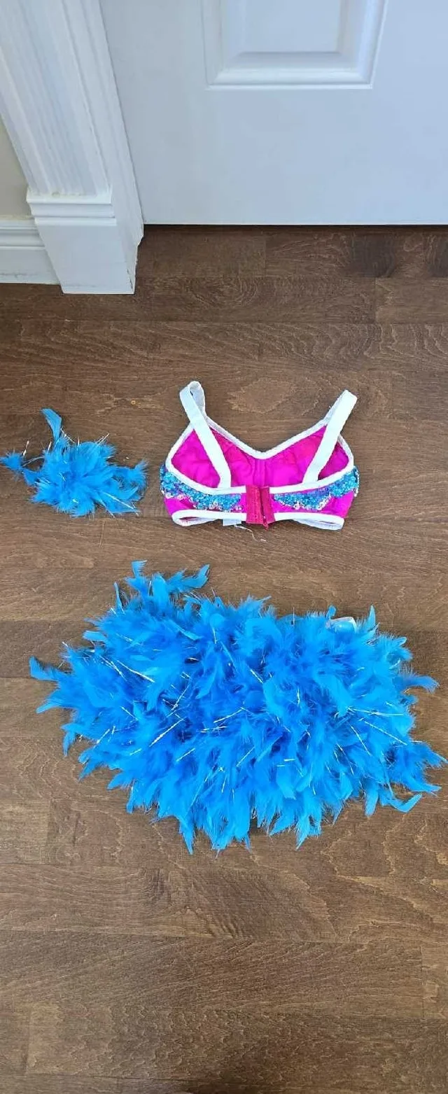 Girls Glamour dance outfit costume for competitive dance image indicator(2)