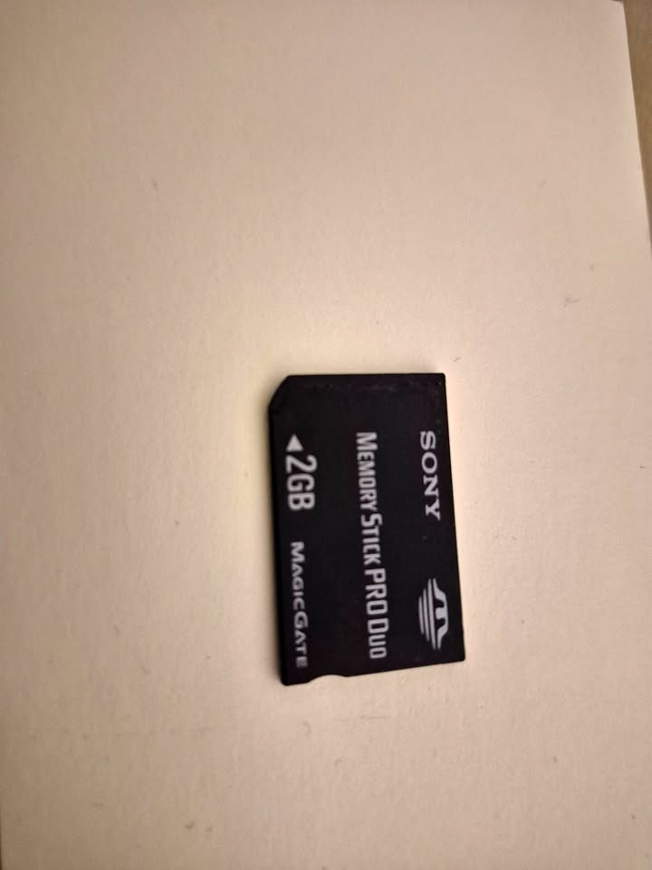 Sony Memory Stick Pro Duo 2G