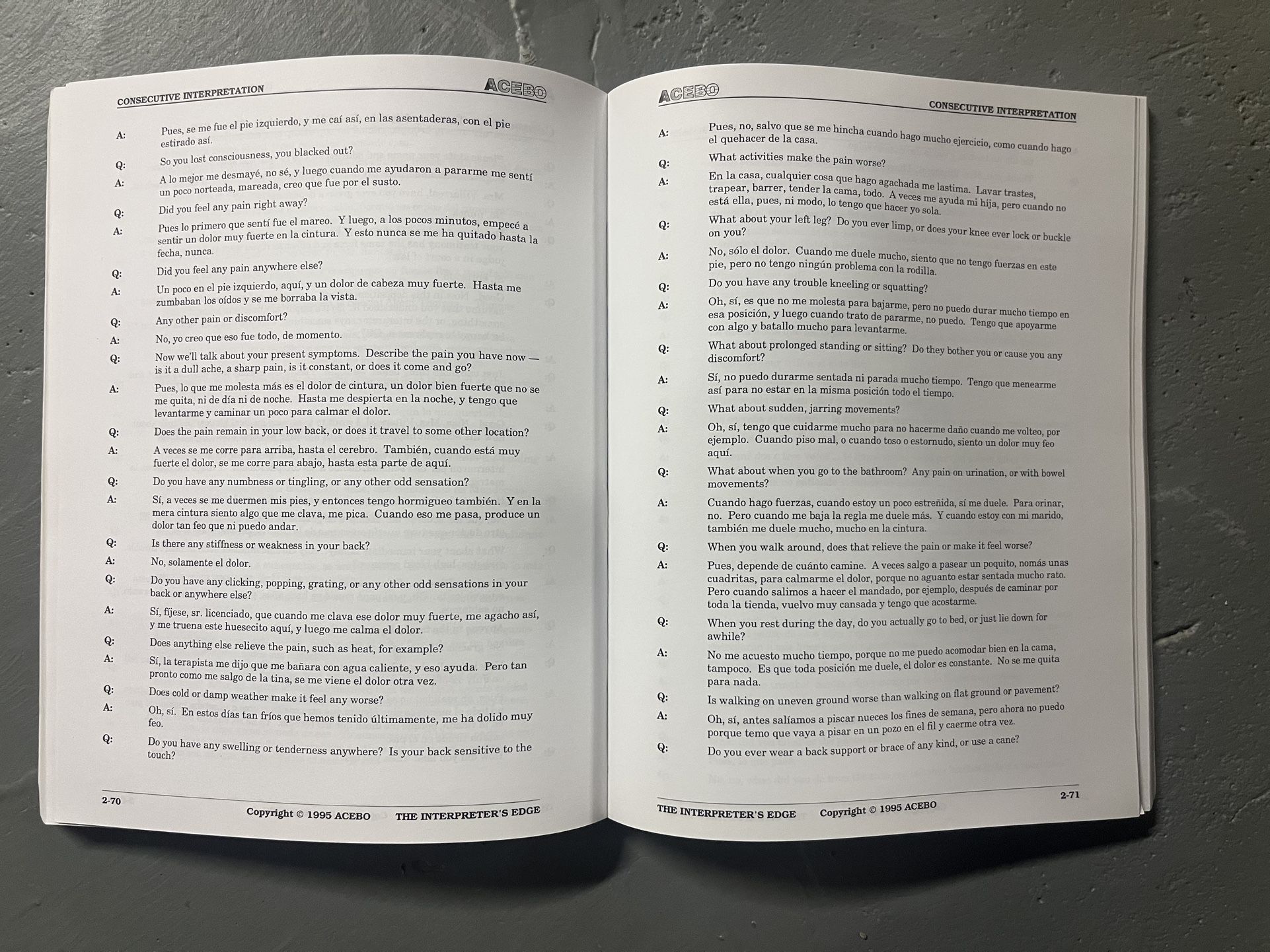 The Interpreter's Edge: Practical Exercises - photo 3