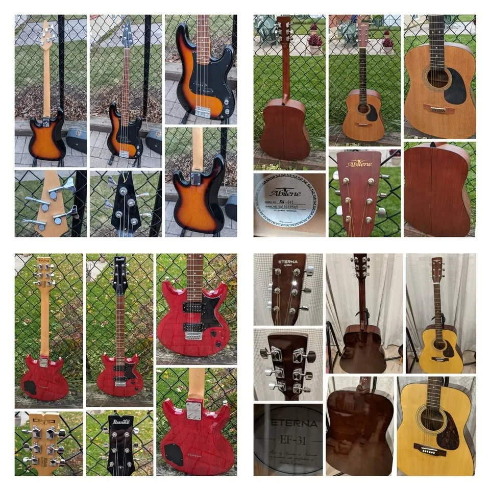 $250 Solo HH Double Cut Electric Guitar - Silverburst image indicator(2)