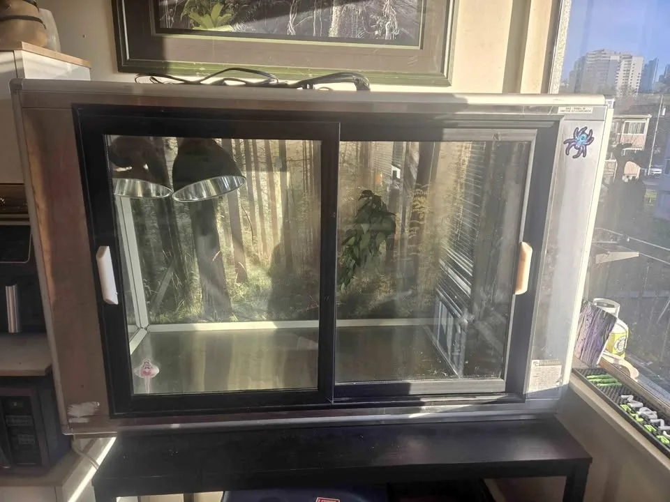 Reptile enclosure