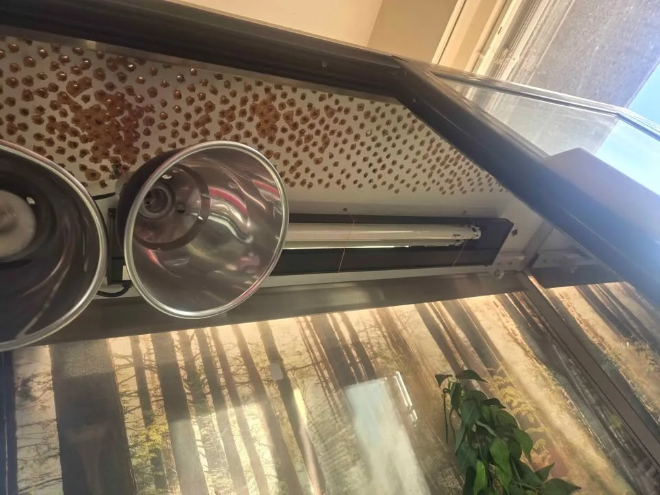 Reptile enclosure image indicator(6)