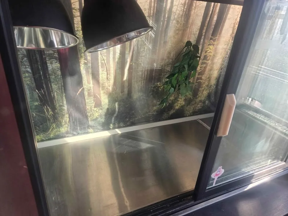 Reptile enclosure image indicator(7)