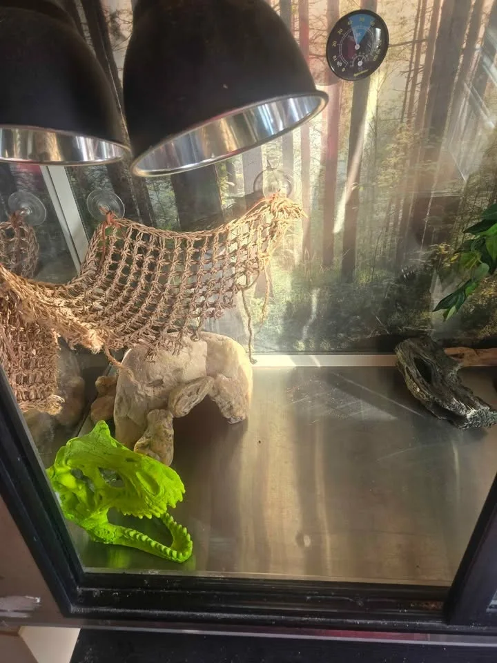 Reptile enclosure image indicator(8)