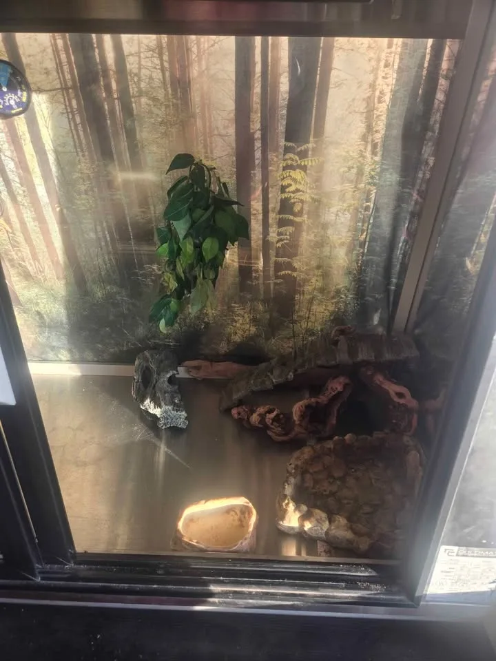 Reptile enclosure image indicator(9)